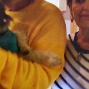 Meet your Posher, Janet